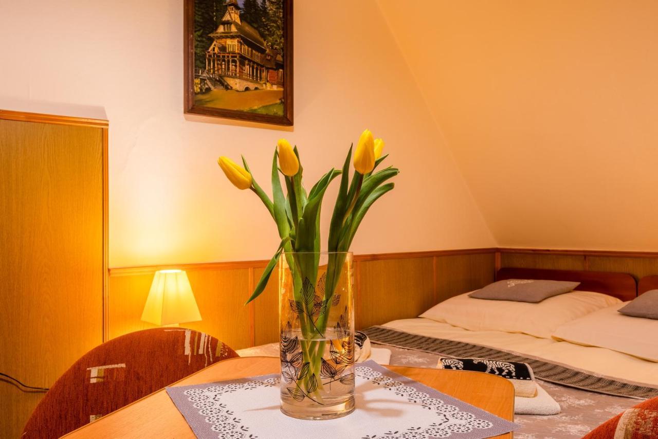 Willa U Zofii Zakopane Ngoại thất bức ảnh