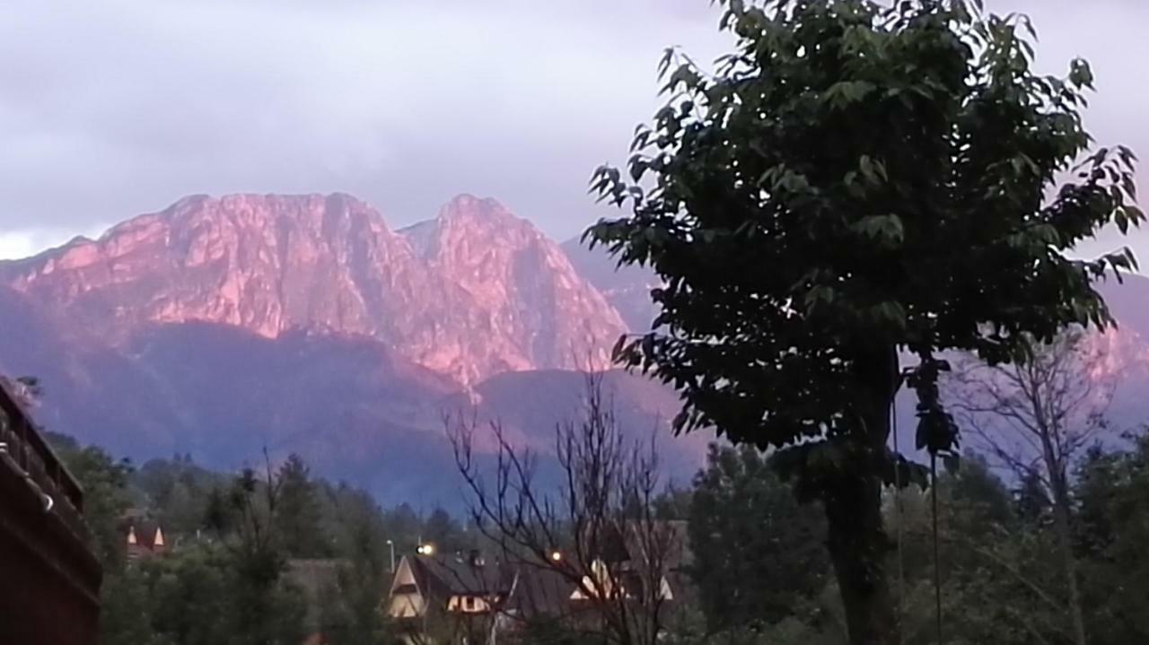 Willa U Zofii Zakopane Ngoại thất bức ảnh